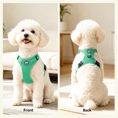 PoyPet Mesh Dog Harness, Reflective Breathable Puppy Vest for Small Dogs - color: Mint Green, size: XS