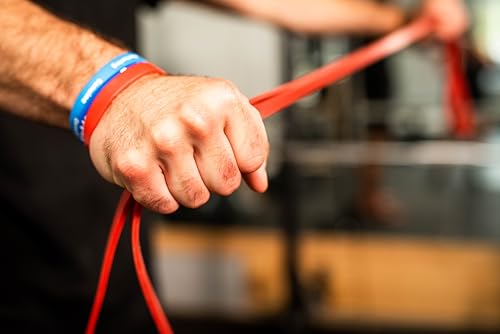 Resistance Bands Set – 5 Pro-Grade Bands with Handles + Lifetime LOF App Access, 30-Day Training Program, Meal Plan Access, 14-Day Coaching Support & Credits Included