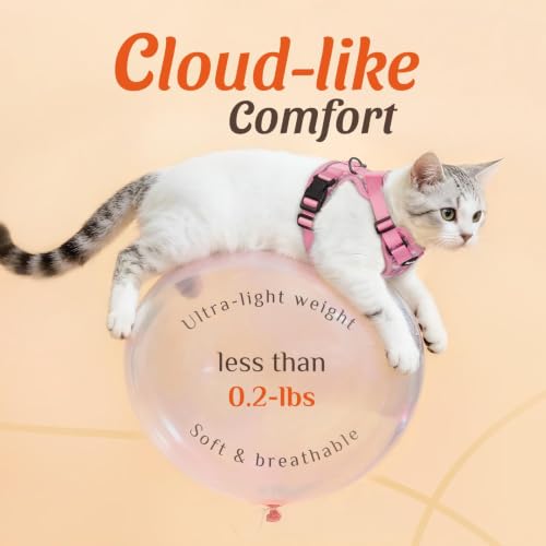 Dooradar Cat Harness and Leash Set, Adjustable and Escape Proof, M - color: Pink Coneflower, size: M