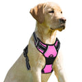 BARKBAY Dog Harness No Pull for Small Sized Dog Front Back Clips,Dog Vest - color: Pink, size: X-Small(Chest:15.5-19.5”)