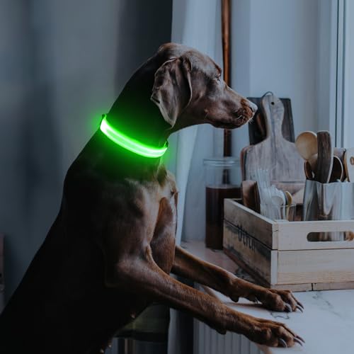 Illumifun LED Collar for Small Dogs, USB Rechargeable Light Up Dog Collar, Flashing Pet Safety Light Glow in the Dark (Green, Small) - color: Green, size: Small