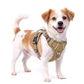 HEELE Dog Harness, Soft Padded, Neck Release Buckles,Easy On & Off, Brown S - color: Lock Brown, size: S (Pack of 1)