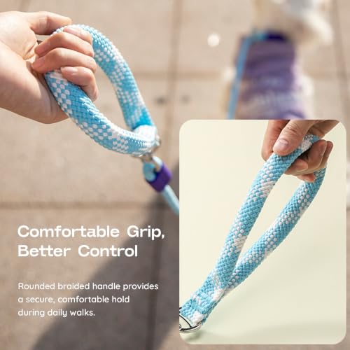 Slip Lead for Dogs, 5FT Rope Training Leash, Padded Handle, Sky Blue - color: Sky Blue
