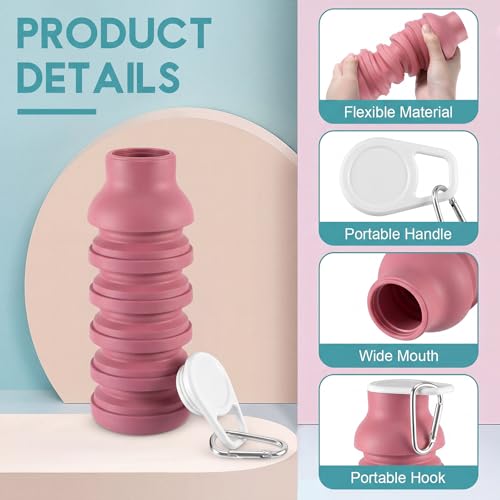LemonRoad 2 Pcs 20 oz Collapsible Water Bottles, Pink, Teal Blue - color: Pink,Teal Blue