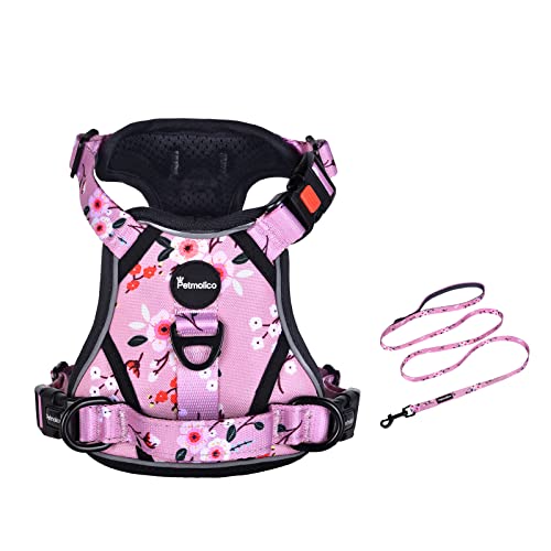Petmolico No Pull Dog Harness and Leash Set with 4 Clips, Pink Plum, Medium - color: Pink Plum, size: Medium