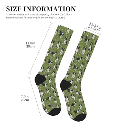 Cute Dog Compression Socks Women Men, Dog Lover Gift - color: Border Collie