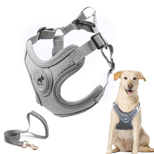 Dog Harness with Leash Set, No Pull Adjustable Step in Pet Vest - color: Gray, size: L