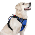 rabbitgoo Large Dog Harness, Easy Wear with 3 Buckles and Lift Handle - color: Blue, size: Large