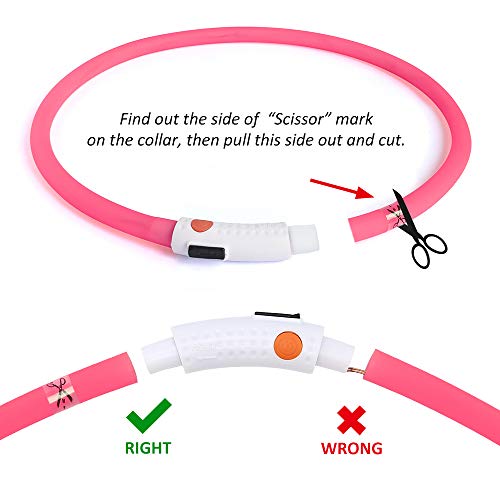 BSEEN Light Up Dog Collar, Silicone LED Pet Collar Rechargeable Glowing Puppy Necklace Safety Dog Lights for Night Walking (Pink) - color: Pink-Standard(70cm)