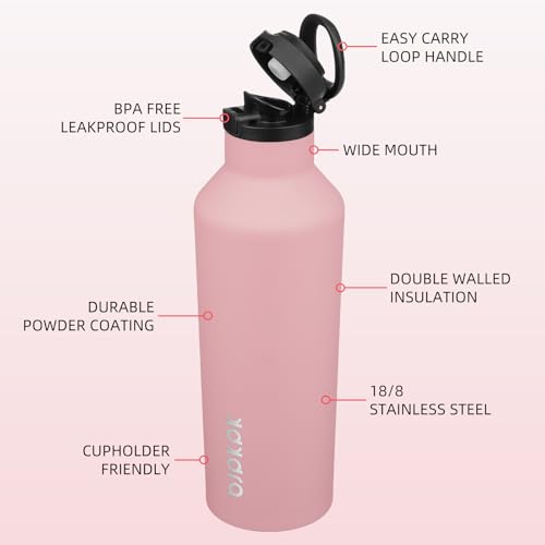 BJPKPK 25oz Insulated Thermal Water Bottle, Straw & Handle, Stainless Steel - color: Light Pink, size: 25 Ounces