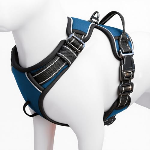 No Pull Dog Harness, No-Choke Soft Padded Reflective Dog Vest Harness with Front Clip & Top Handle, 2 Quick-Release Buckles, Adjustable for Small Medium Large Dogs - color: Blue, size: X-Small