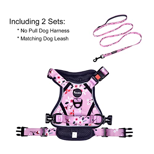 Petmolico No Pull Dog Harness and Leash Set with 4 Clips, Pink Plum, Medium - color: Pink Plum, size: Medium