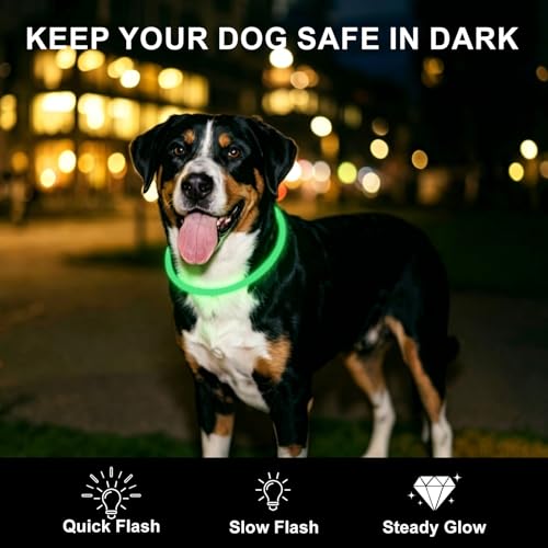 Novkin 2-Pack LED Dog Collar, Light Up Dog Collars,Rechargeable Dog Lights for Night Walking，Universal, Reusable Safety Necklace for Small Medium Large Dogs Green&Blue - color: Green&Blue