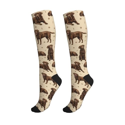 Cute Dog Compression Socks Women Men, Dog Lover Gift - color: Chocolate Lab