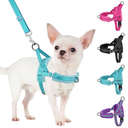 SlowTon No Pull Small Dog Harness and Leash Set with Front Clip - color: Teal, size: X-Small