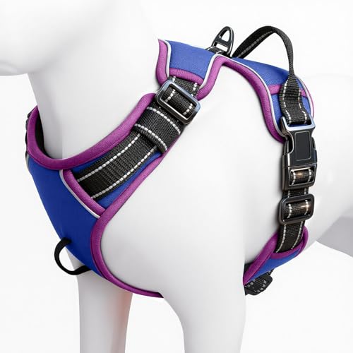 No Pull Dog Harness, No-Choke Soft Padded Reflective Dog Vest Harness with Front Clip & Top Handle, 2 Quick-Release Buckles, Adjustable for Small Medium Large Dogs - color: Blue/Purple, size: X-Small