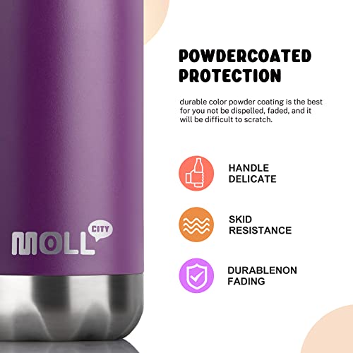 17 oz Stainless Steel Vacuum Insulated Sports Water Bottle No Straw - color: Dark Purple, size: 17 Ounces