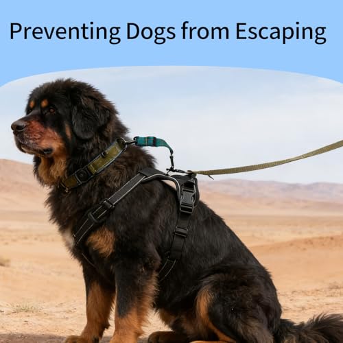 Prong Collar Safety Clip, Double Ended Dog Collar Safety Clip, Green