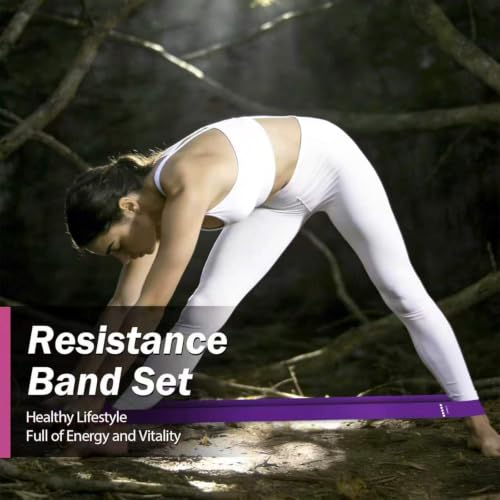 Resistance Bands for Working Out, 5 Levels Exercise Bands Set - color: Pink