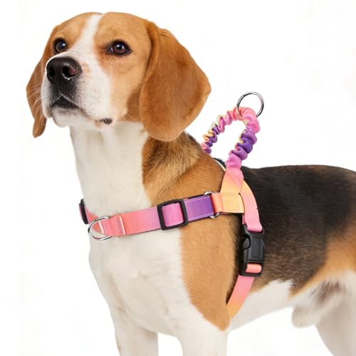 PUPTECK No Pull Dog Harness Small Sized Dog, Adjustable Reflective Pet Vest Harness with Bungee Handle, Escape Proof No Choke Harness for Small Dogs Walking Training, Pink & Purple M - color: Pink & Purple, size: M (NECK: 16.5"-19.5", CHEST: 21.5"-28")