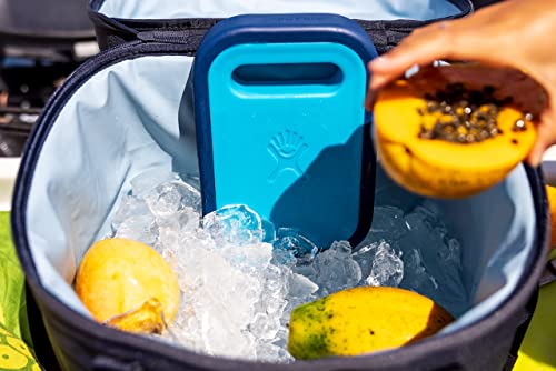 Hydro Flask Ice Pack - Accessory Reusable Freezer - Refreezable, BPA-Free, Non-Toxic Small - size: Small, style: Small