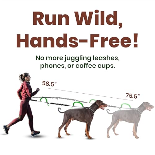Hands Free Dog Leash 2 Dogs with Padded Handles and Zipper Pouch for Treats
