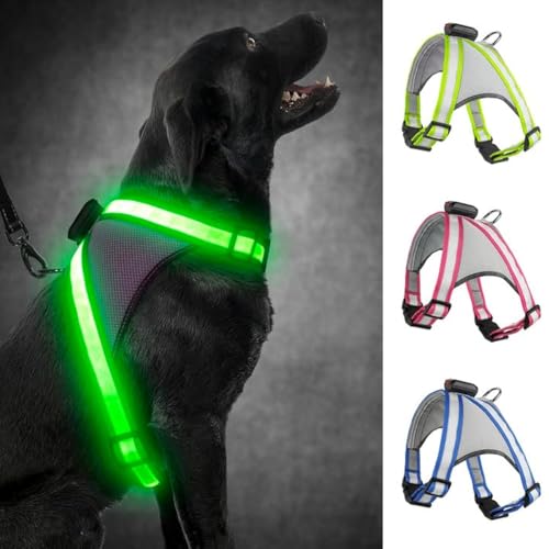 Visinite LED Dog Harness, USB Rechargeable Light Up Dog Vest, 2 Illuminate Modes Glow in The Dark Dog Harness, Adjustable Lighted Pet Harness Light for Night Walking Safety (Green, L) - color: Green, size: Large