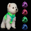 Light Up Dog Harness, Rechargeable LED Dog Harness for Small Medium Dogs - color: Light Green, size: XS
