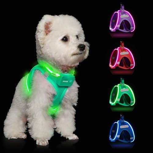 Light Up Dog Harness, Rechargeable LED Dog Harness for Small Medium Dogs - color: Light Green, size: M