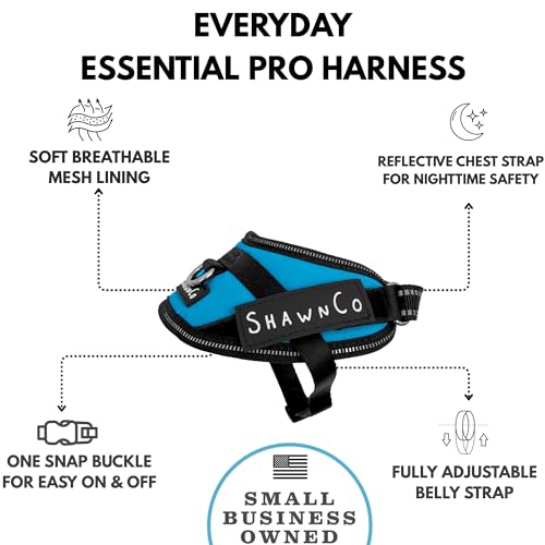 ShawnCo Essential Pro Dog Harness, No-Pull Pet Vest (Oceanic Blue, XS) - color: Oceanic Blue, size: XS