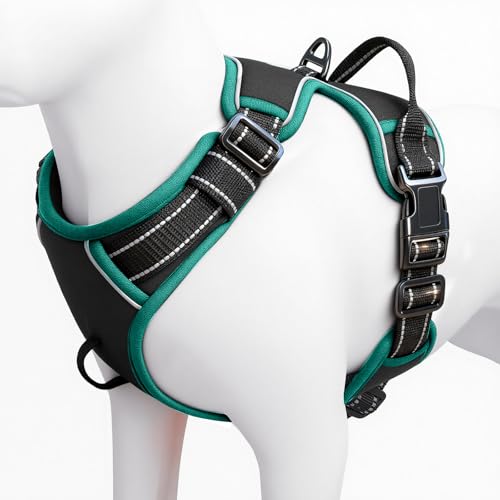 No Pull Dog Harness, No-Choke Soft Padded Reflective Dog Vest Harness with Front Clip & Top Handle, 2 Quick-Release Buckles, Adjustable for Small Medium Large Dogs - color: Black/Turquoise, size: X-Small