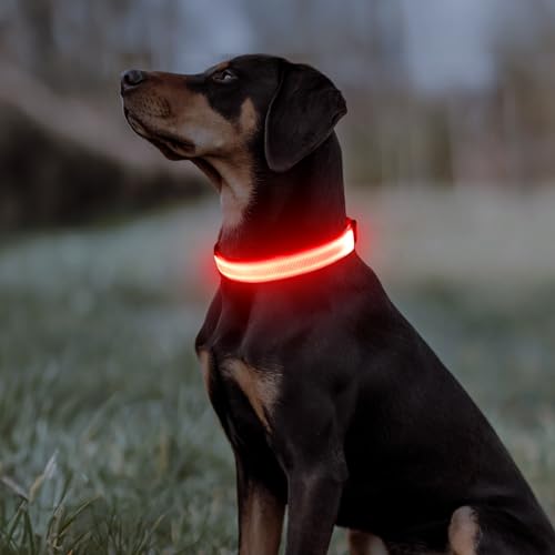 Illumifun Light Up Dog Collar, USB-C Rechargeable LED Dog Collar, Adjustable Safety Pet Lights for Night Walking (Red, Large) - color: Red, size: Large