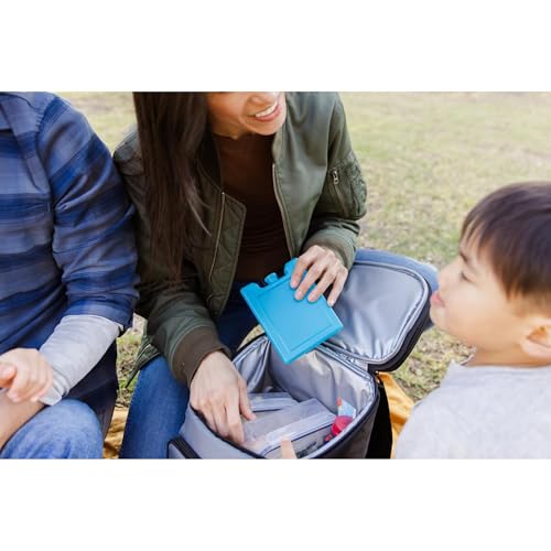 Igloo Maxcold Small Ice Block, 2-Pack, Blue - color: 2PK Small