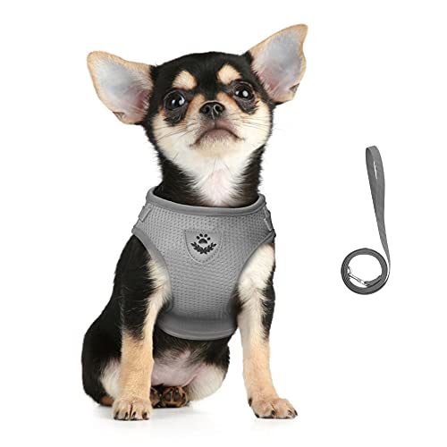 FEimaX Dog Harness and Leash Set for Walking, Soft Mesh Adjustable Easy Control Lightweight Cat Vest Harnesses with Reflective Strips, Escape Proof Small Dogs Cats Vests - color: Grey, size: XXS