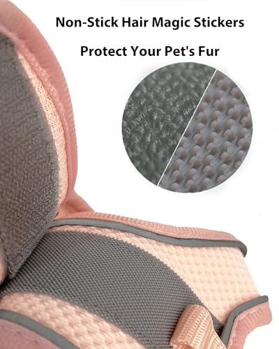Small Dog Harness and Leash Set - Puppy Training Vest, Black, XXS - color: Black, size: Extra Extra Small
