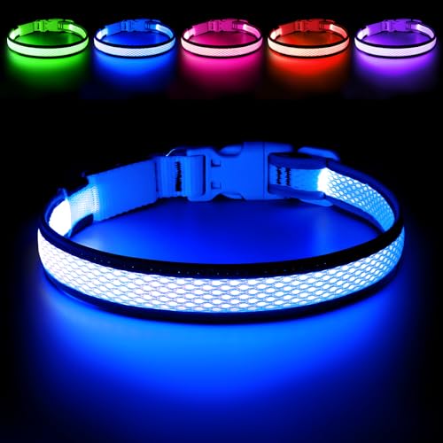 Flashseen LED Dog Collar, Light Up Dog Collar USB Rechargeable, Blue, S - color: Blue, size: Small