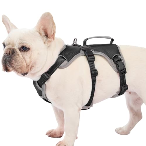 Huntboo Escape Proof Dog Harness, Dachshund Harness, Reflective Dog Harness with Handle, Durable,Adjustable Vest for Small Medium Large Dogs Walking, Training, and Running Gear (Black,M) - color: Black, size: Medium(Pack of 1)