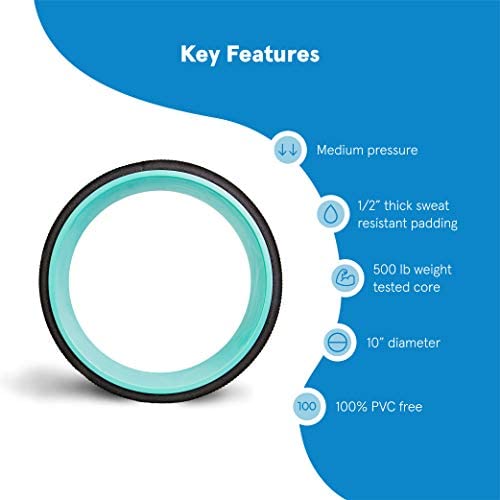 Chirp Wheel+ Foam Roller, Back & Neck Pain Relief, Mint 10-Inch - size: 10" - Medium