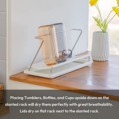 carrotez Bottle Drying Rack with Drain Tray, White - color: White
