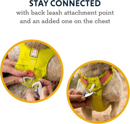 Ruffwear, Hi & Light Dog Chest Harness, Alpenglow Pink, X-Small - color: Alpenglow Pink, size: X-Small