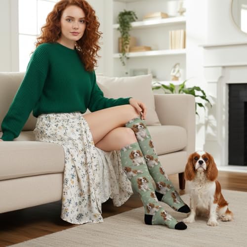 Cute Dog Compression Socks Women Men, Dog Lover Gift - color: King Charles Cavalier2