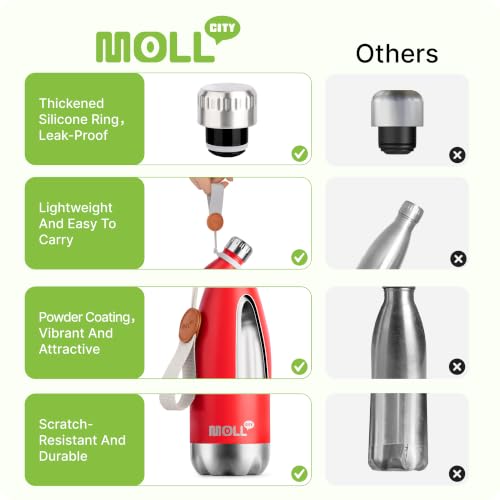 Small Water Bottles for Kids 9oz Stainless Steel Insulated Thermos - color: Canyon Red, size: 9 Ounces