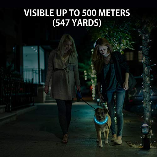 Novkin 2-Pack LED Dog Collar, Light Up Dog Collars,Rechargeable Dog Lights for Night Walking，Universal, Reusable Safety Necklace for Small Medium Large Dogs Green&Blue - color: Green&Blue