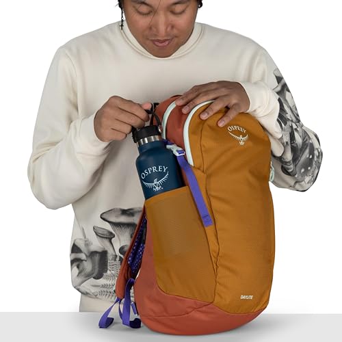 Osprey Daylite Commuter Backpack, Multi OS - color: Barley Brown Multi
