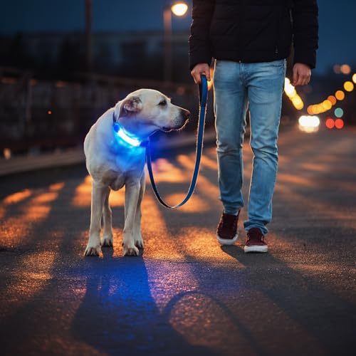 Dog Leash Light 2 Pack, LED Night Walking Safety Light for Collar Harness, Waterproof Glow Band with Nylon Stickers, Easy Clip-on Attachment for Small Large Dogs - color: Blue+Blue