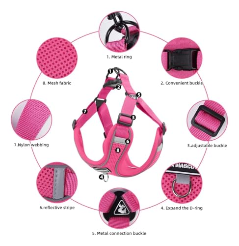 Dog Harness and Leash Set, Adjustable Triangle, Reflective Adjustable Puppy Vest, No Pull Soft Mesh Harness for Small, Medium Dogs, Cats (Fuchsia, L) - color: Fuchsia, size: L