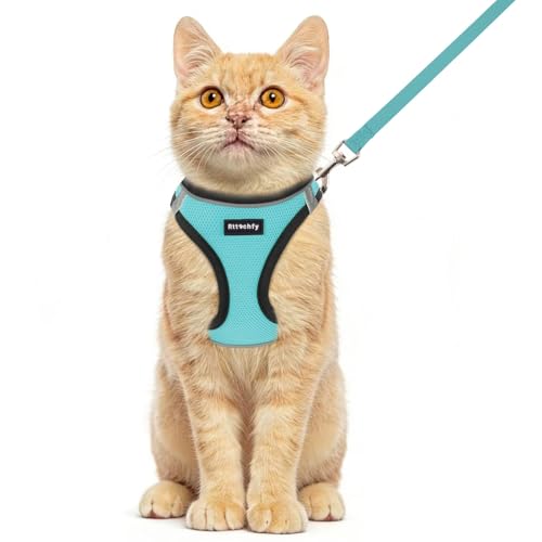 Rttochfy Cat Harness and Leash Set, Escape Proof Kitten Harness, Soft and Breathable Vest with Reflective Strip, Easy to Wear for Cats Walking and Traveling (BK Cyan, XXS) - color: BK Cyan, size: XXS (Chest:11"-12")