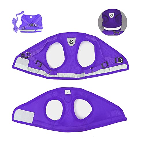 FEimaX Dog Harness and Leash Set for Walking, Soft Mesh Adjustable Easy Control Lightweight Cat Vest Harnesses with Reflective Strips, Escape Proof Small Dogs Cats Vests - color: Purple, size: XXS