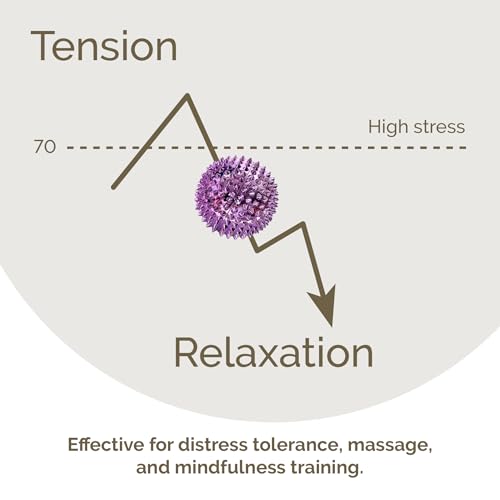 2X Spiky DBT Skill Balls | Magnetic Stress Relief Balls | Spiky Massage Balls for Relaxation, Tension Release, Focus & Mobility (Purple, 2 Inch) - color: Purple, size: 2 inches