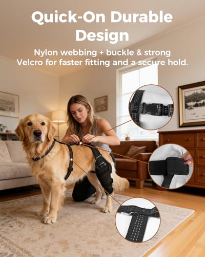 Dog Knee Brace for ACL/CCL with Hot & Cold Gel Pack, Left Leg-M - size: M